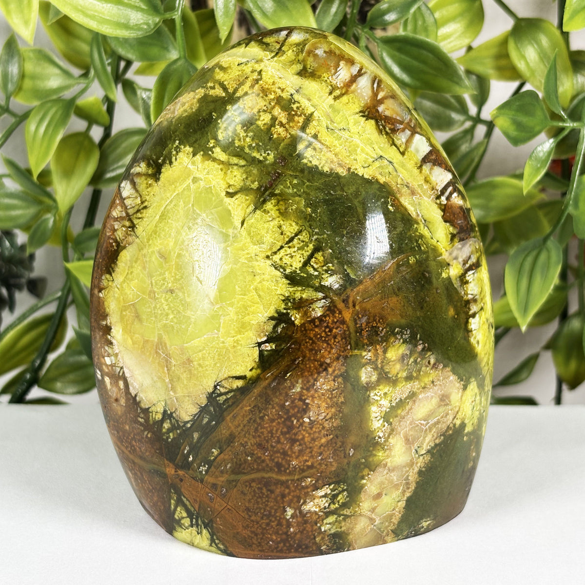 Green Opal Crystal Freeform - Gem Avenue