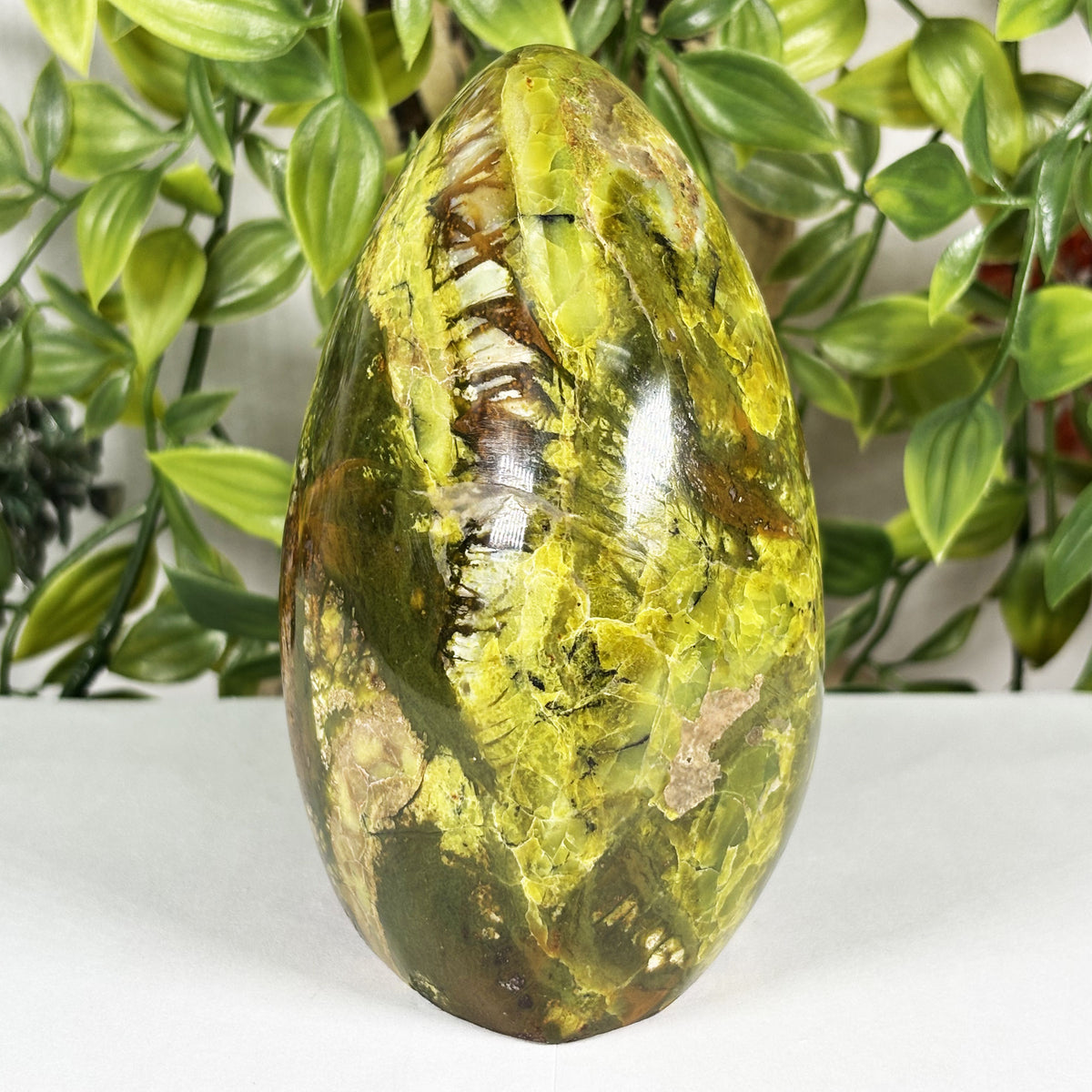 Green Opal Crystal Freeform - Gem Avenue