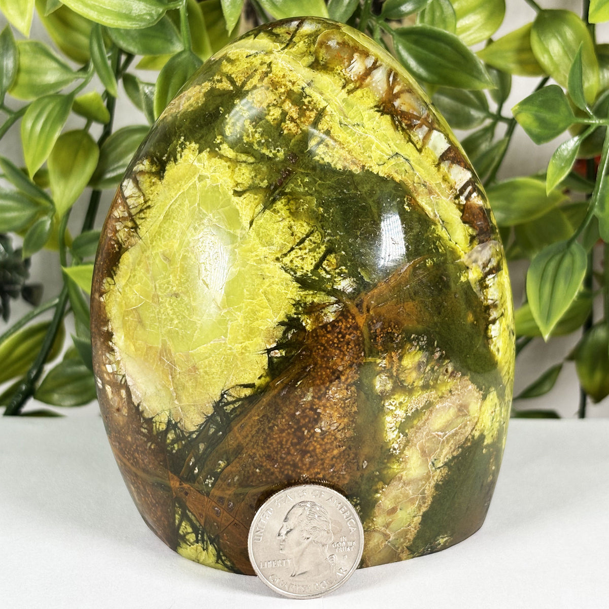 Green Opal Crystal Freeform - Gem Avenue