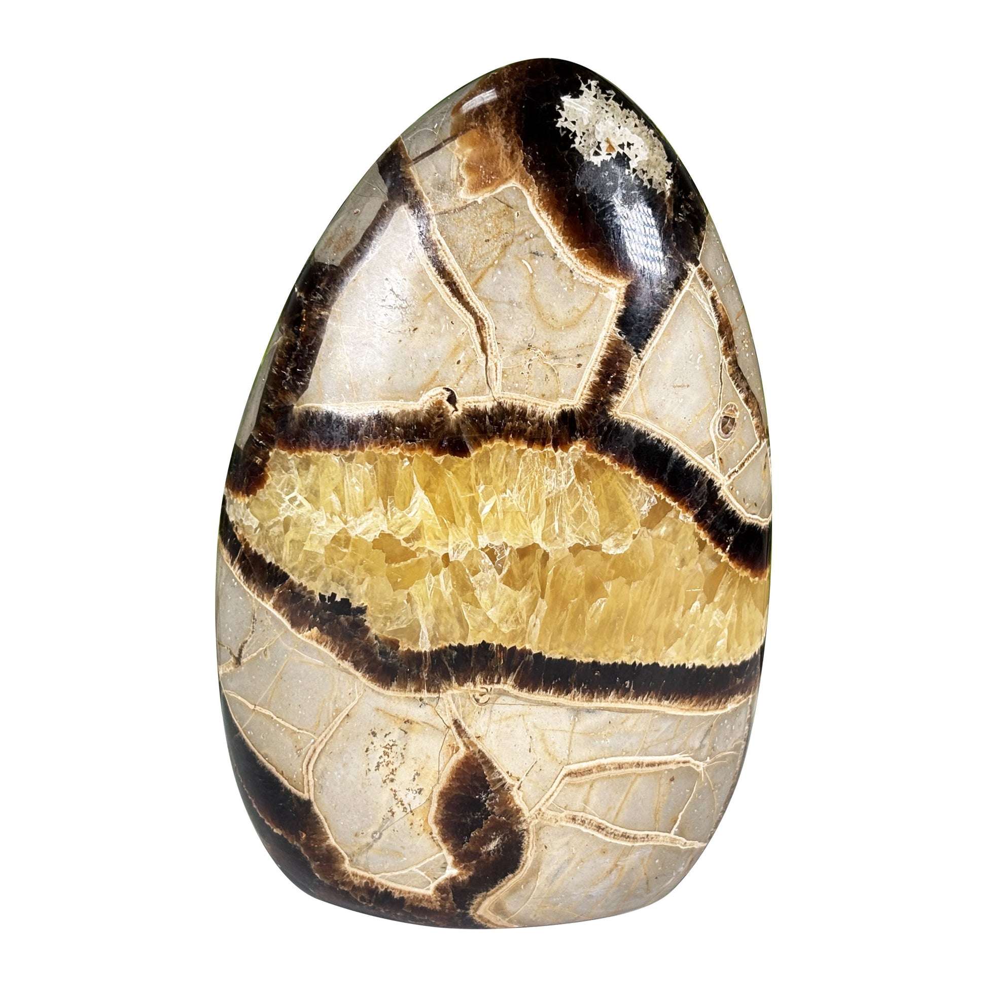 Septarian Crystal Freeform - Gem Avenue Retail