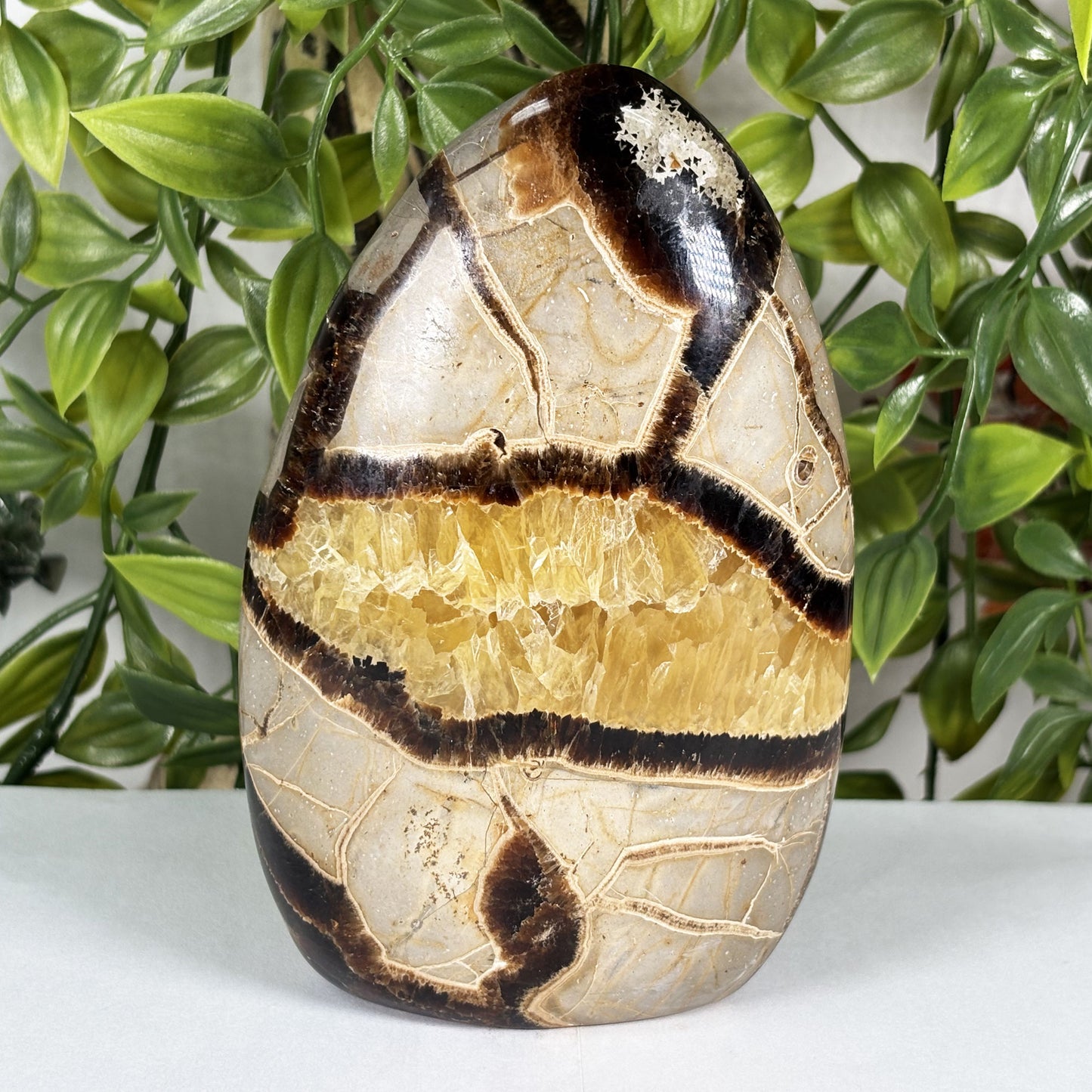 Septarian Crystal Freeform - Gem Avenue Retail