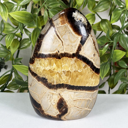 Septarian Crystal Freeform - Gem Avenue Retail