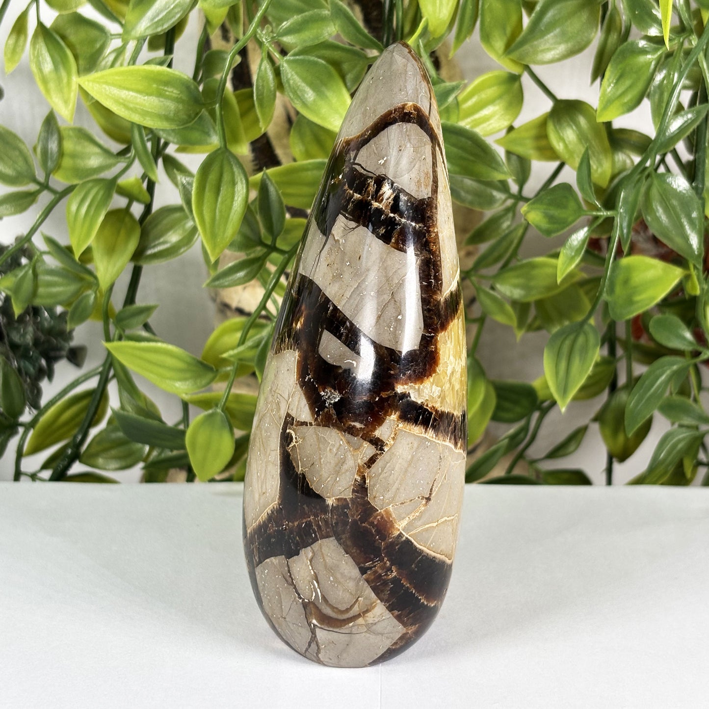 Septarian Crystal Freeform - Gem Avenue Retail