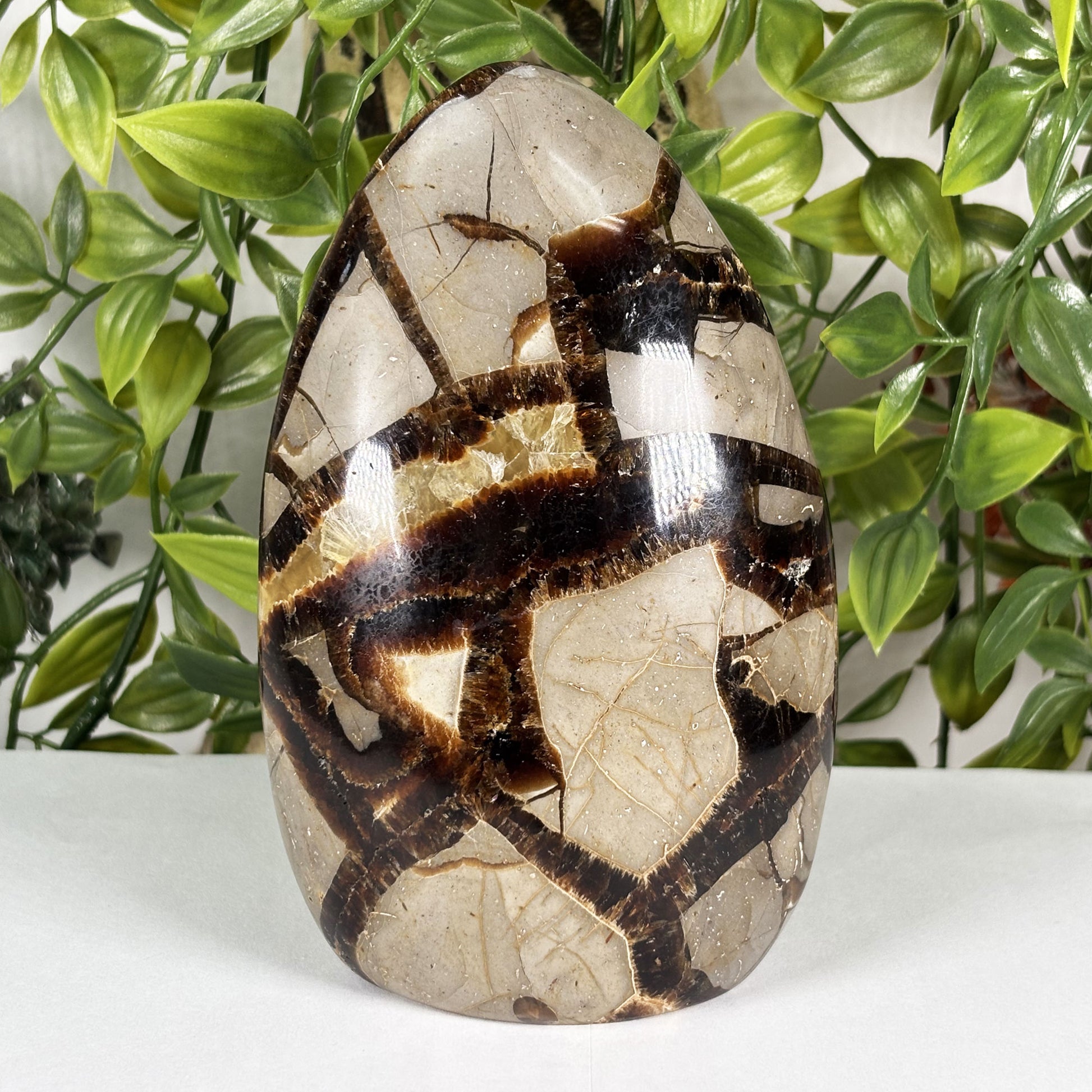Septarian Crystal Freeform - Gem Avenue Retail