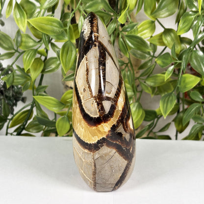 Septarian Crystal Freeform - Gem Avenue Retail