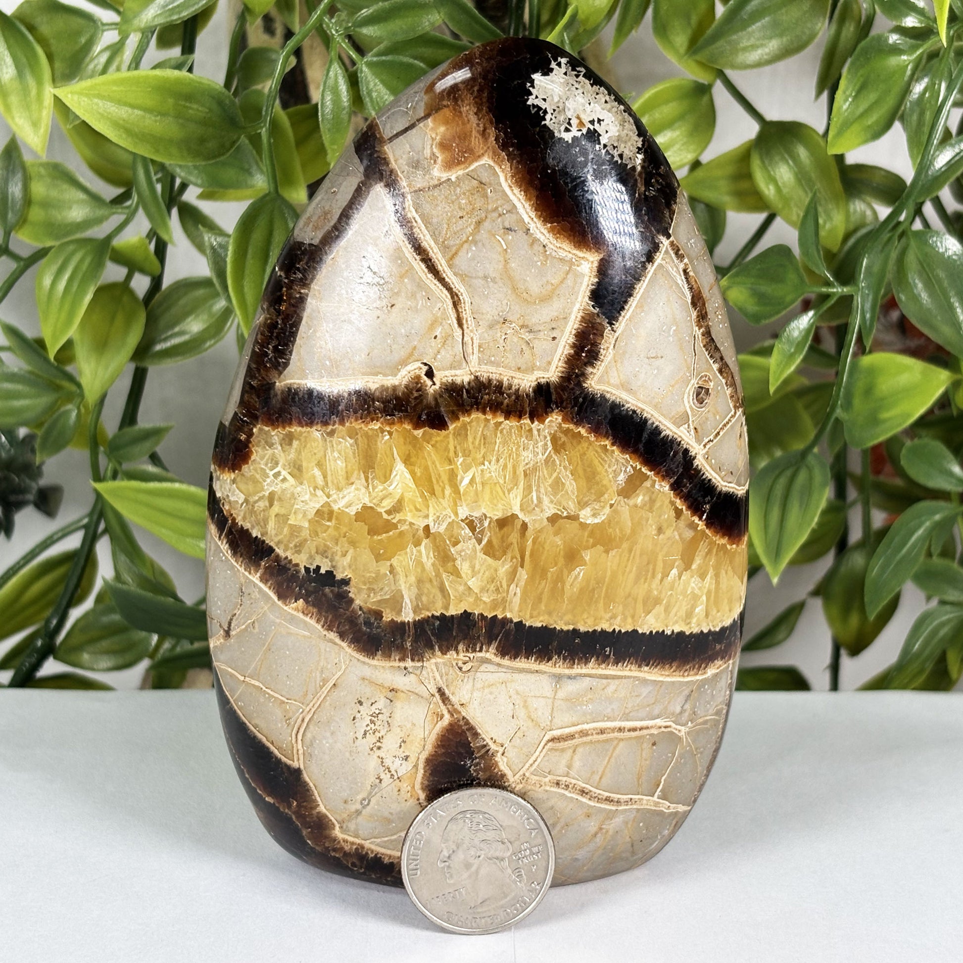Septarian Crystal Freeform - Gem Avenue Retail