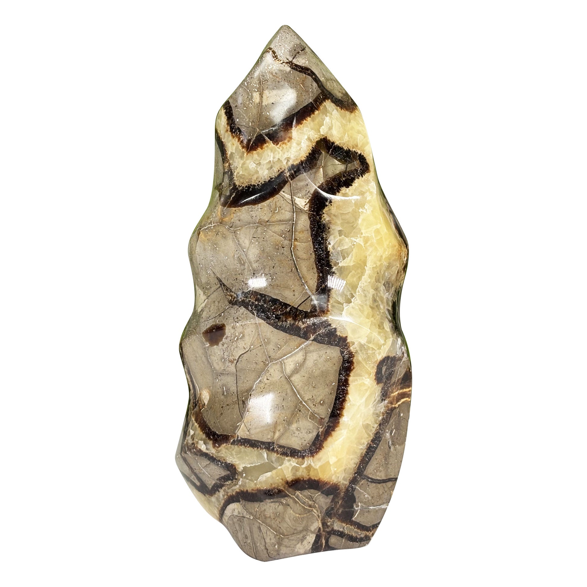 Septarian Crystal Freeform - Gem Avenue Retail