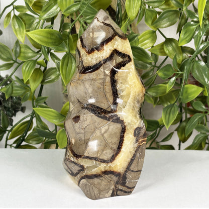 Septarian Crystal Freeform - Gem Avenue Retail