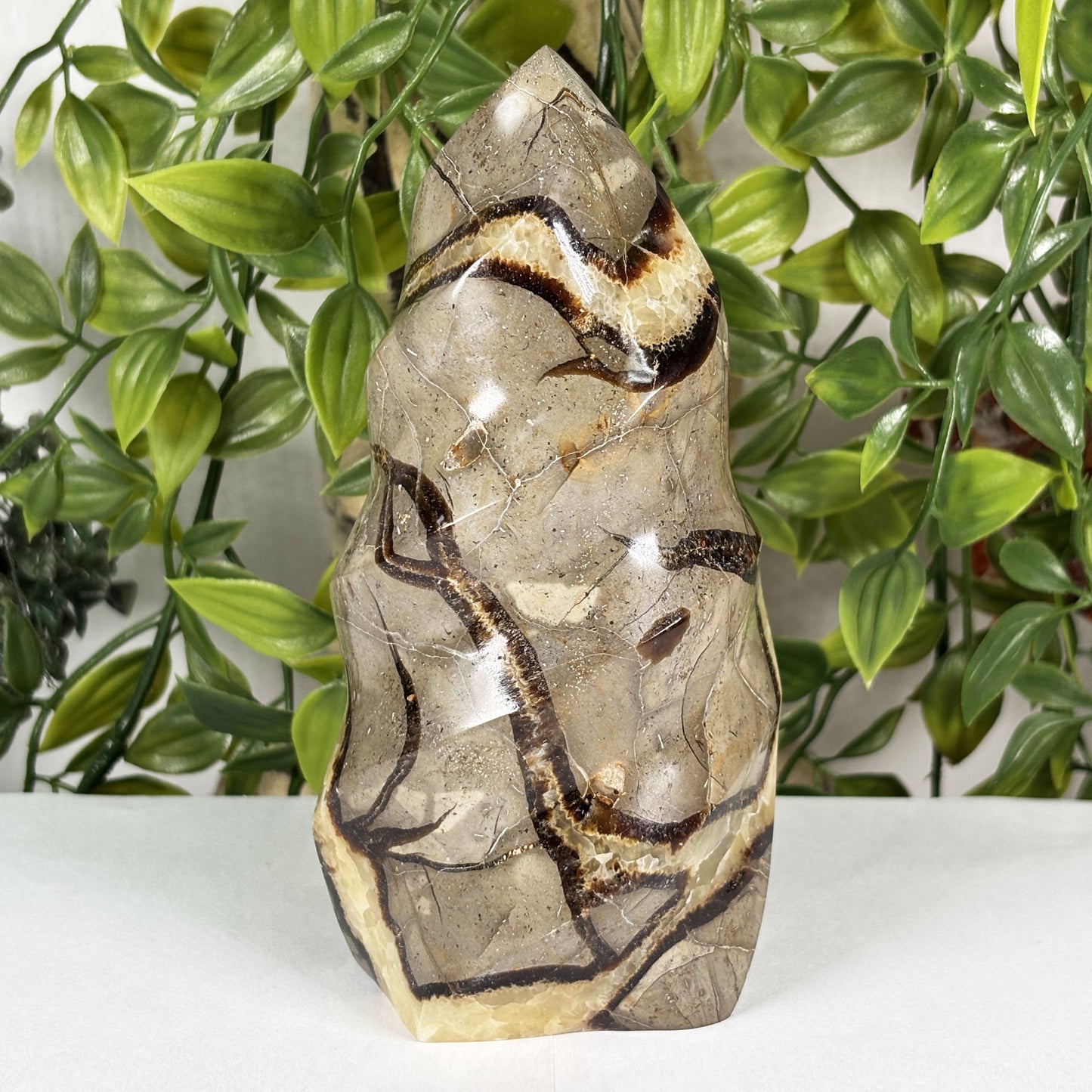 Septarian Crystal Freeform - Gem Avenue Retail