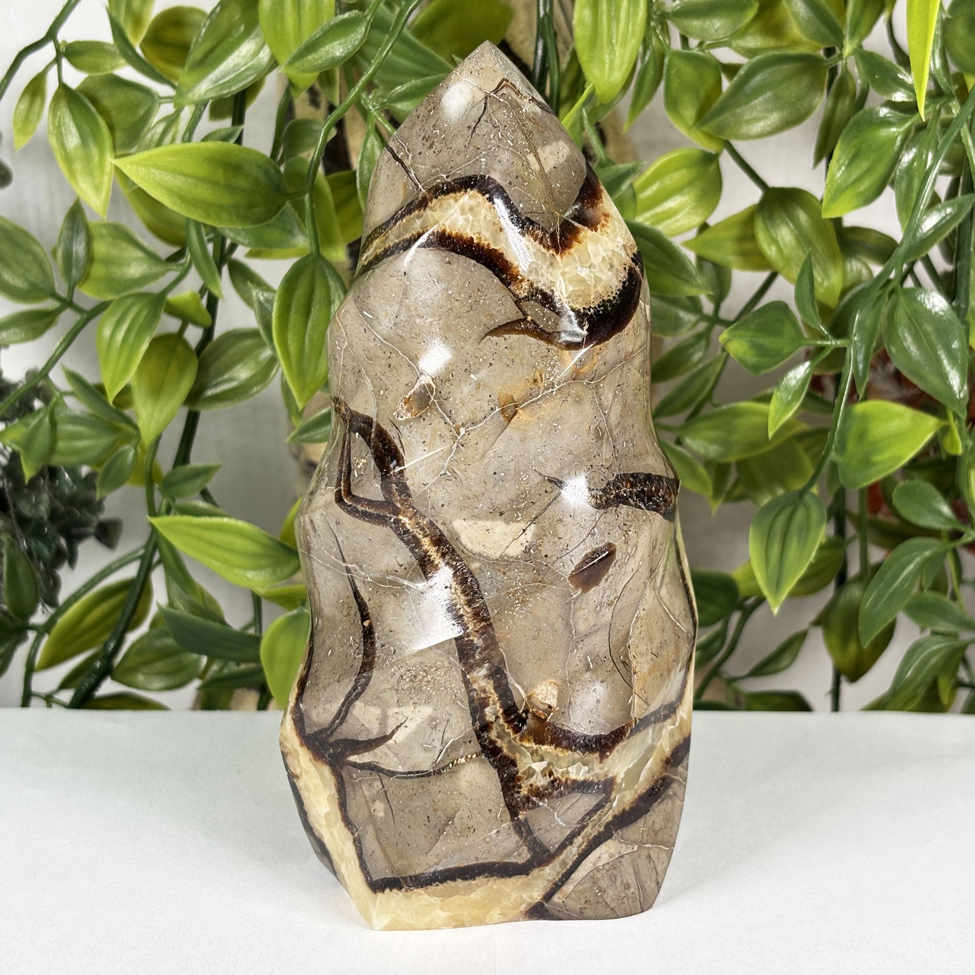 Septarian Crystal Freeform - Gem Avenue Retail