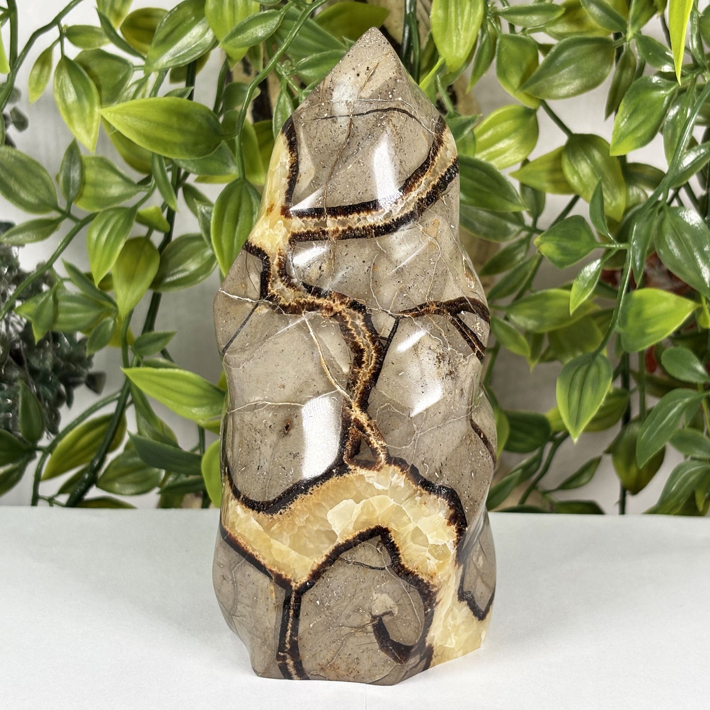 Septarian Crystal Freeform - Gem Avenue Retail