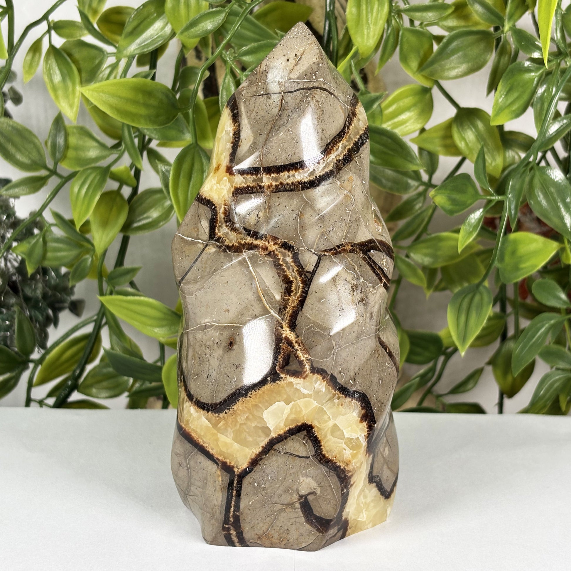 Septarian Crystal Freeform - Gem Avenue Retail