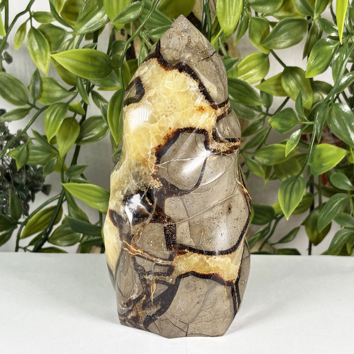 Septarian Crystal Freeform - Gem Avenue Retail