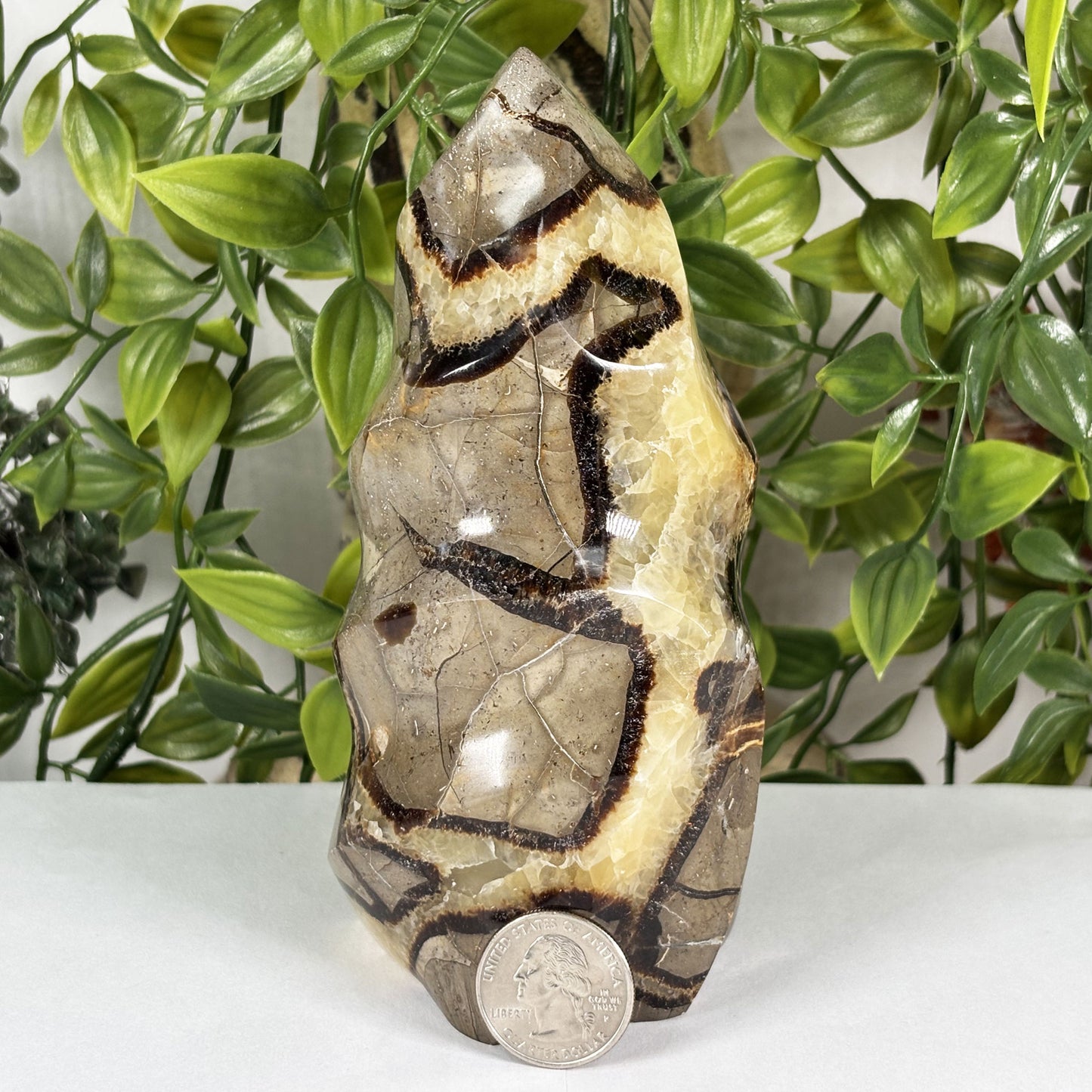Septarian Crystal Freeform - Gem Avenue Retail