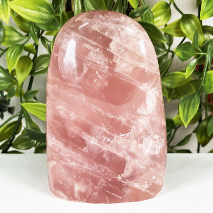 Rose Quartz Crystal Freeform - Gem Avenue Retail