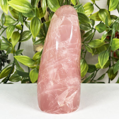 Rose Quartz Crystal Freeform - Gem Avenue Retail