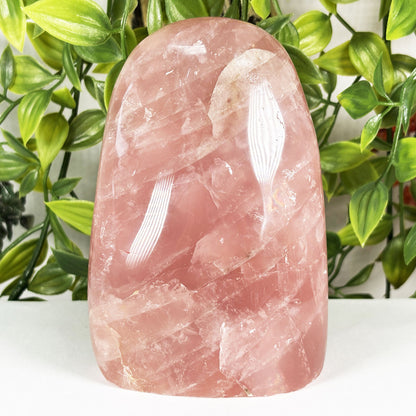 Rose Quartz Crystal Freeform - Gem Avenue Retail