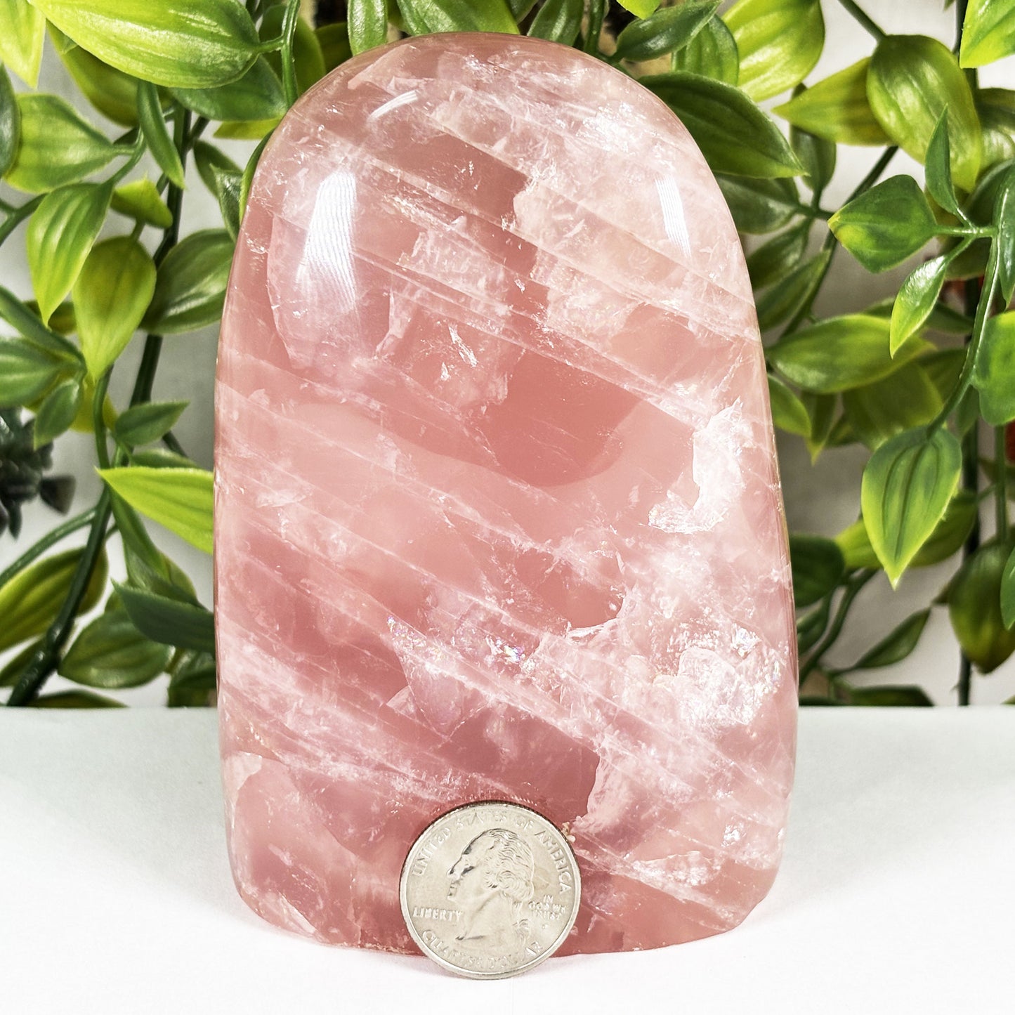 Rose Quartz Crystal Freeform - Gem Avenue Retail