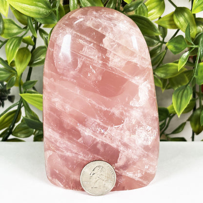 Rose Quartz Crystal Freeform - Gem Avenue Retail
