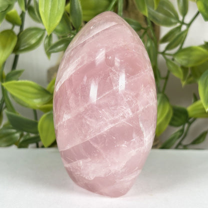 Natural Rose Quartz Crystal Freeform 3.25" Polished Madagascar Home Decor Display Stone