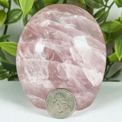 Rose Quartz Crystal Freeform - Gem Avenue Retail