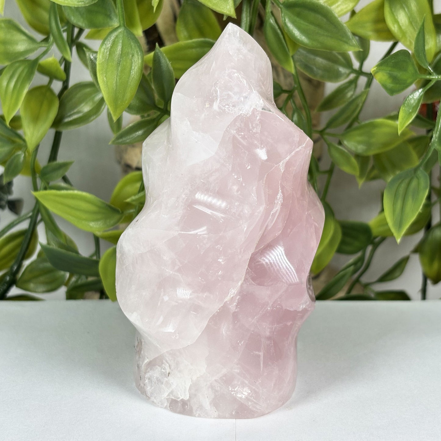 Rose Quartz Crystal Freeform - Gem Avenue Retail