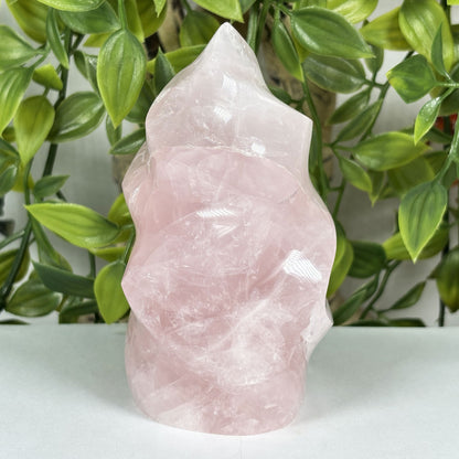 Rose Quartz Crystal Freeform - Gem Avenue Retail