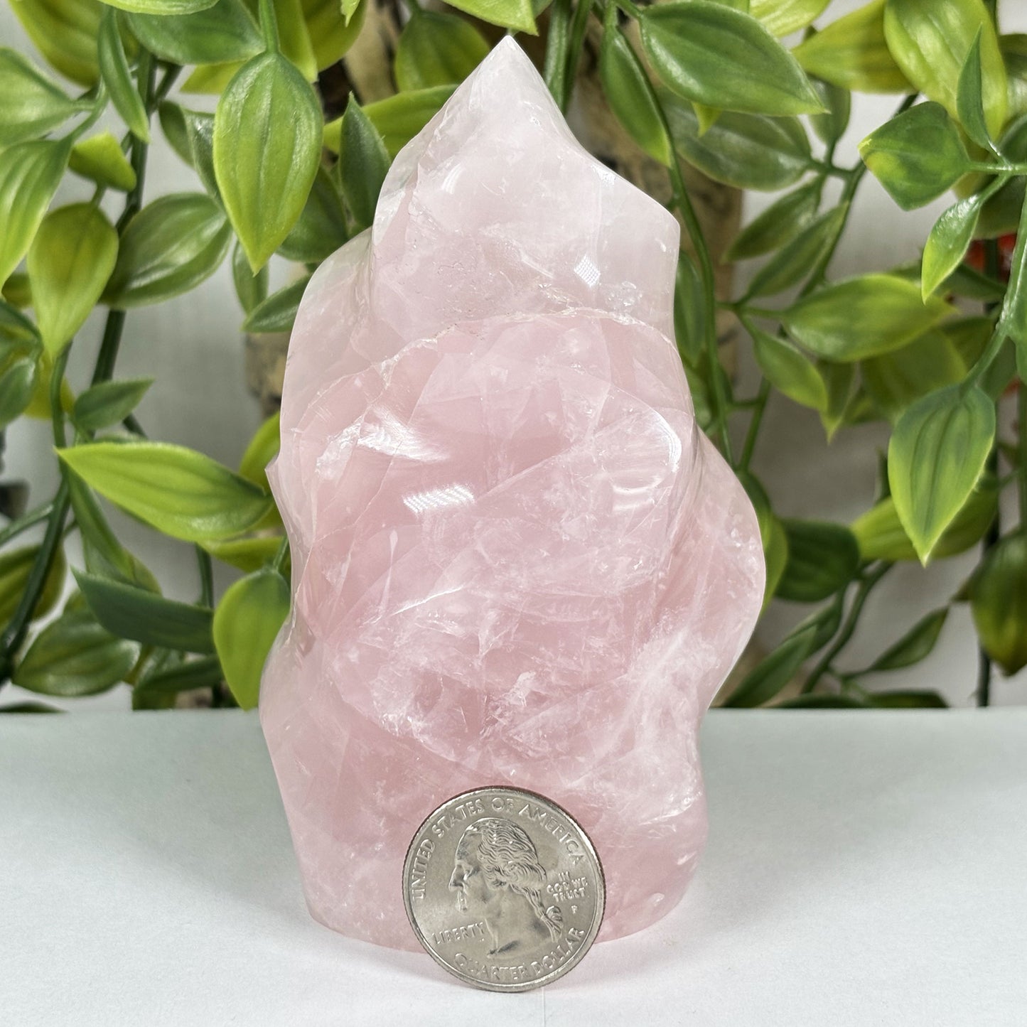 Rose Quartz Crystal Freeform - Gem Avenue Retail
