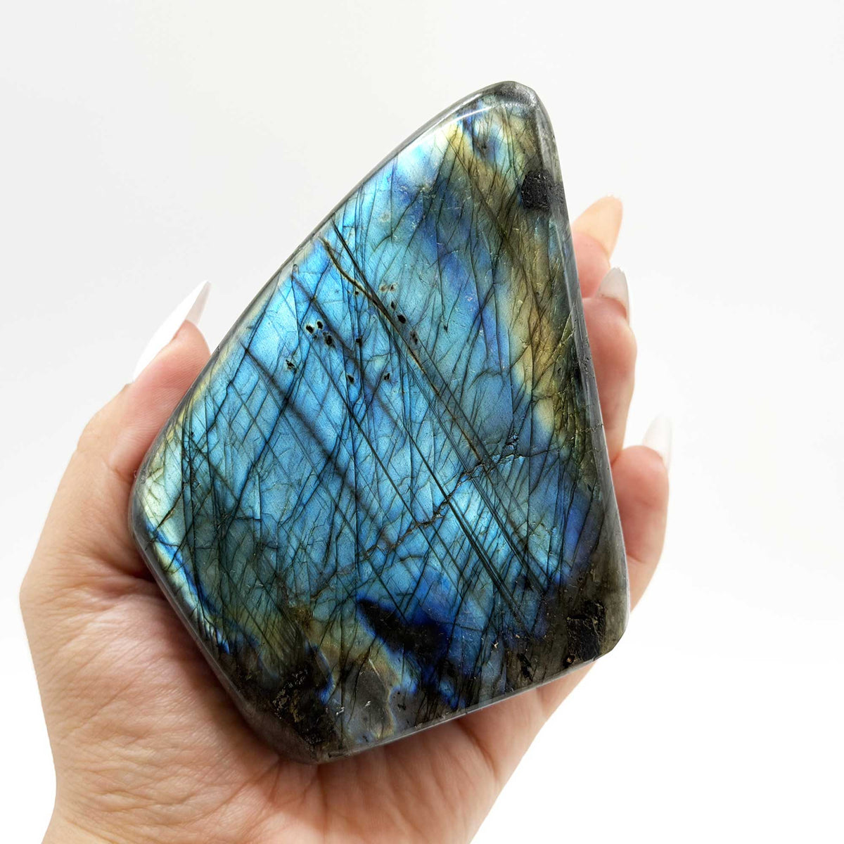 Labradorite Freeform Crystal 3" Blue Green Flash Madagascar - Gem Avenue Retail
