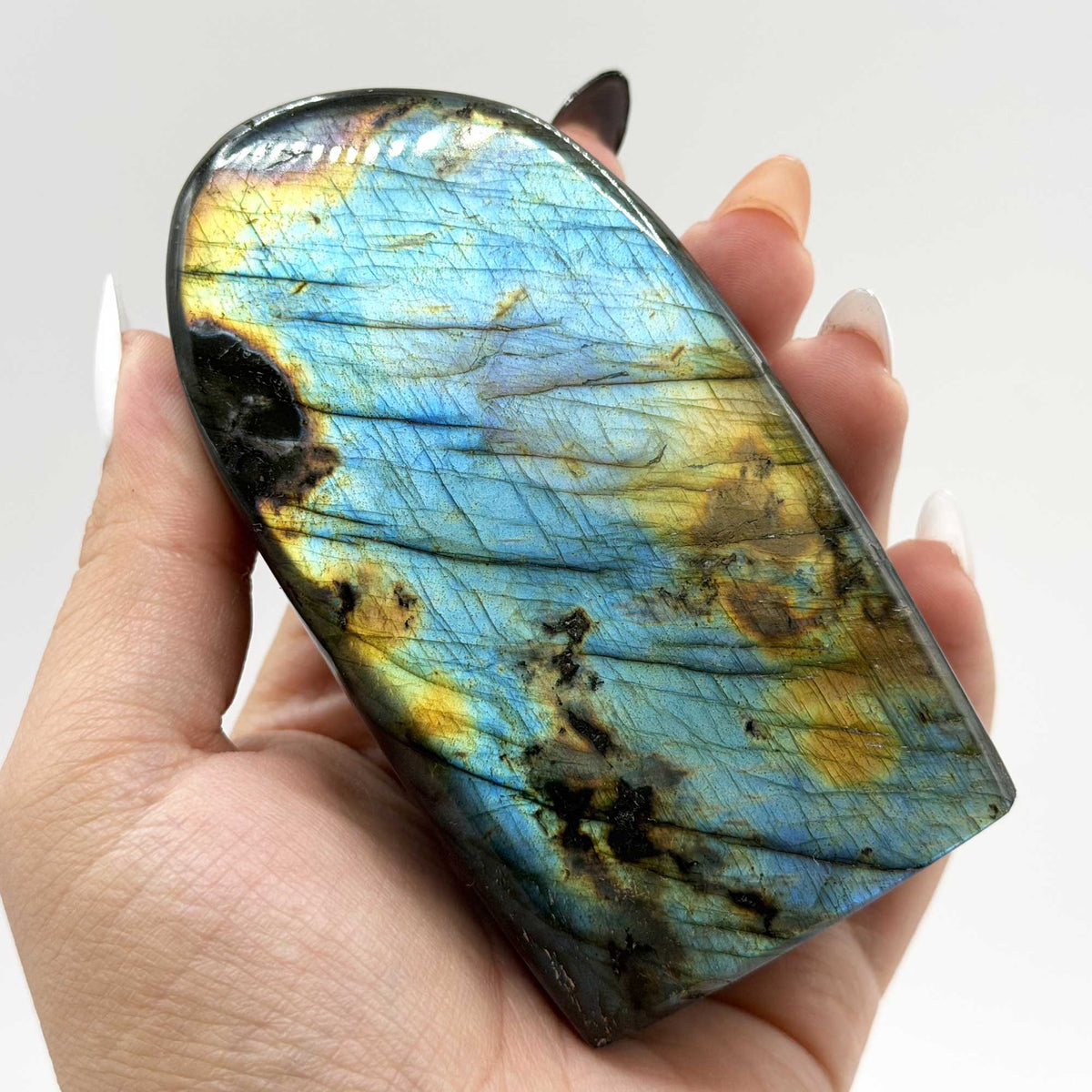 Labradorite Freeform Crystal 3.5" Blue Green Flash Madagascar - Gem Avenue Retail