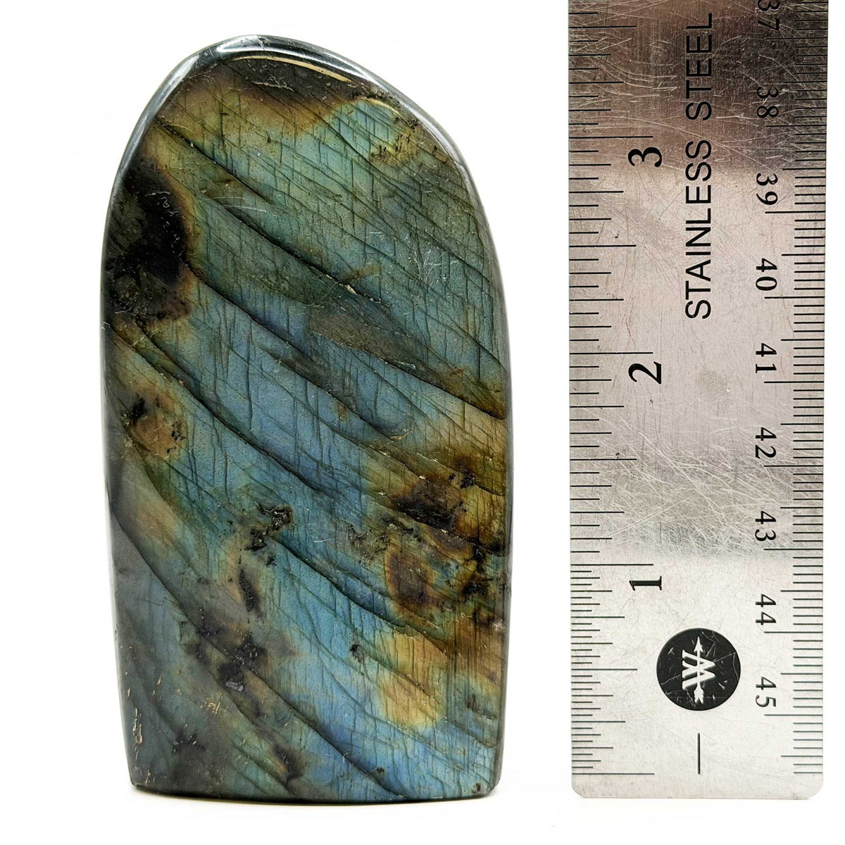 Labradorite Freeform Crystal 3.5" Blue Green Flash Madagascar - Gem Avenue Retail