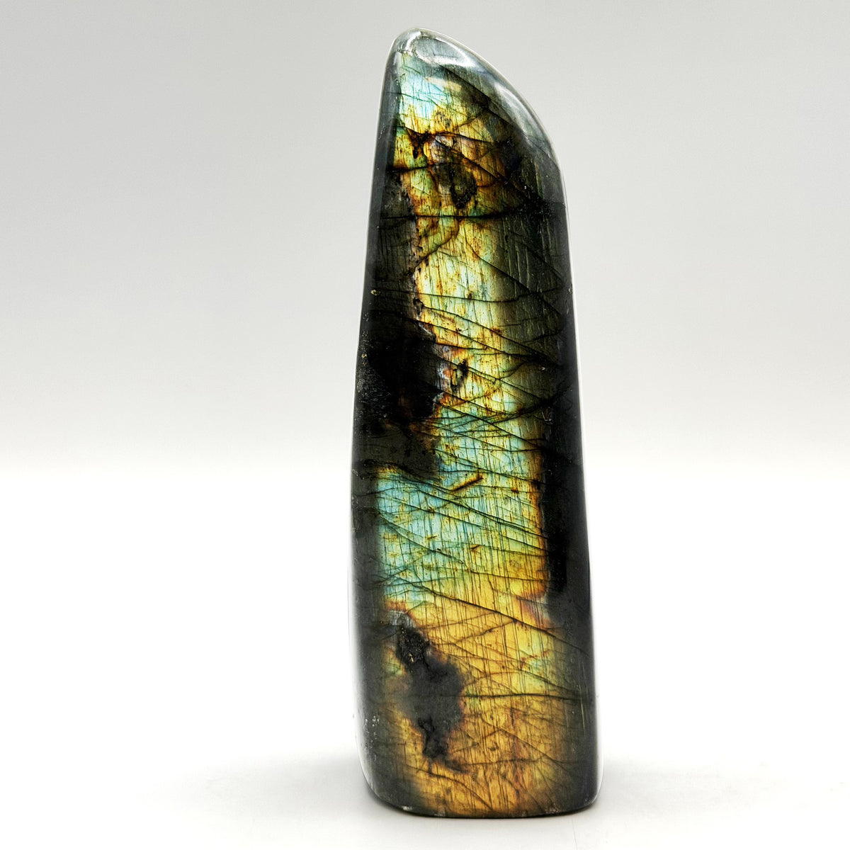 Labradorite Freeform Crystal 4.5" Madagascar - Gem Avenue Retail