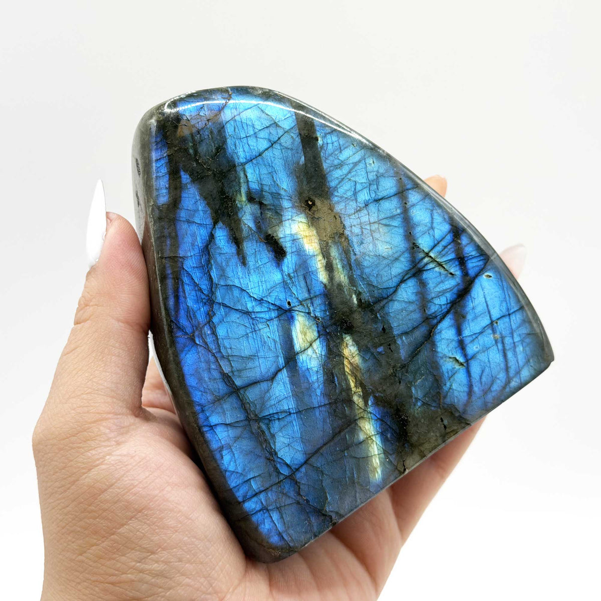 Labradorite Freeform Crystal 3.5" Natural Madagascar Gemstone - Gem Avenue Retail