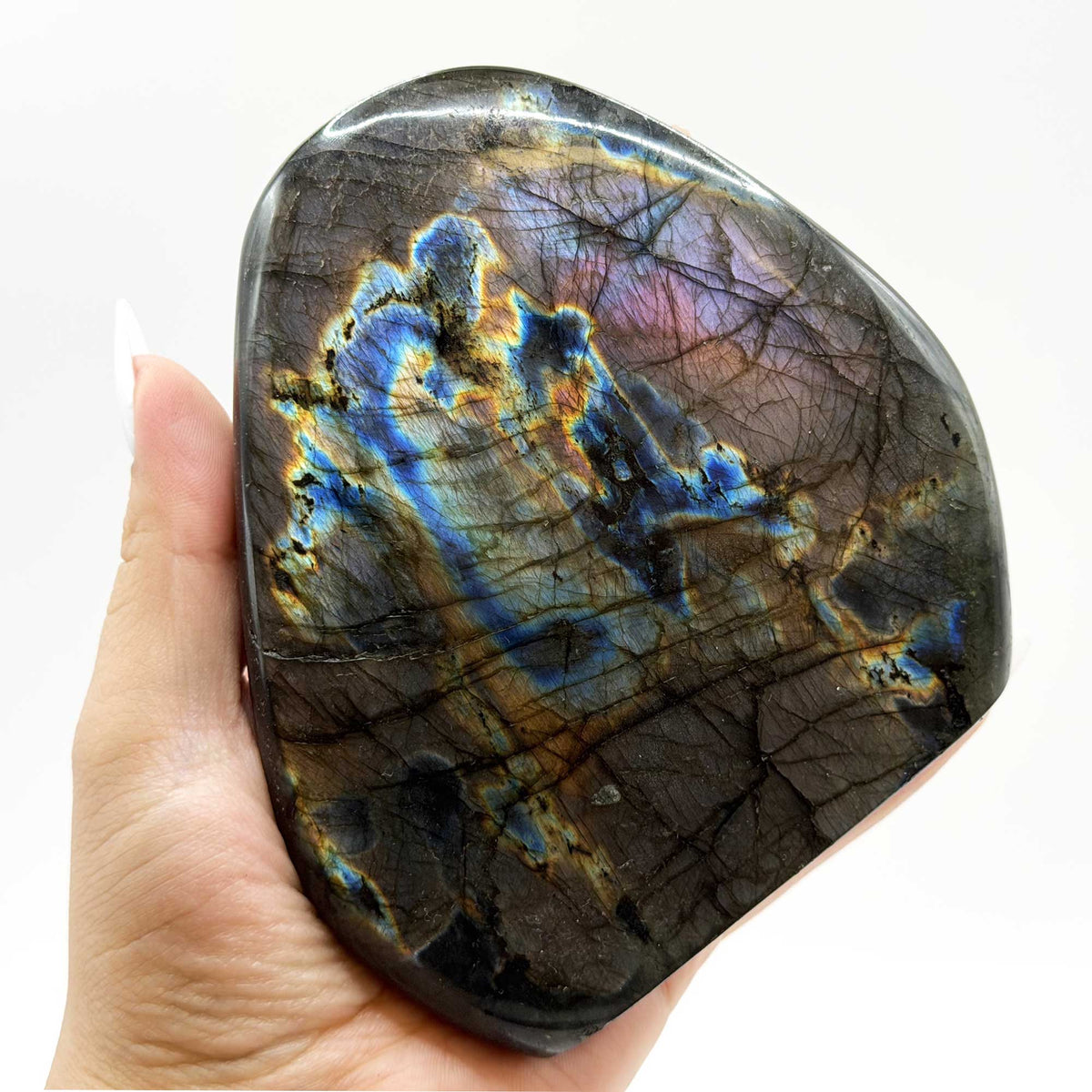 Labradorite Freeform Crystal 4.25" Madagascar - Gem Avenue Retail
