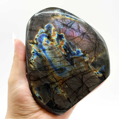 Labradorite Freeform Crystal 4.25" Madagascar - Gem Avenue Retail