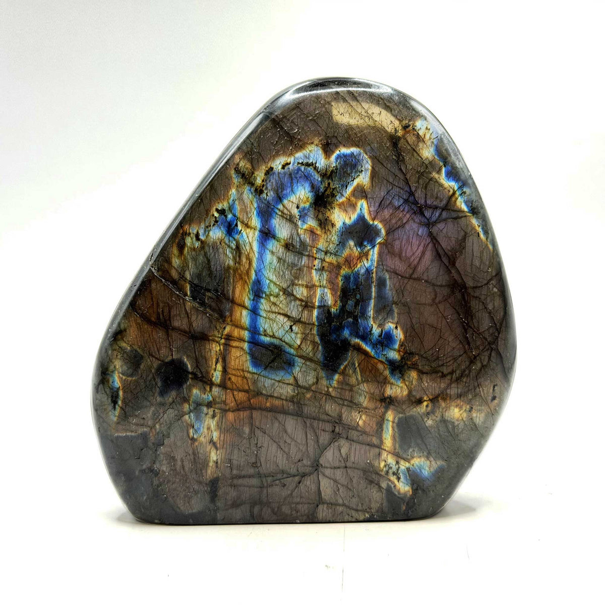 Labradorite Freeform Crystal 4.25" Madagascar - Gem Avenue Retail
