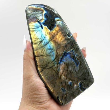 Labradorite Freeform Crystal 5.25" Madagascar - Gem Avenue Retail