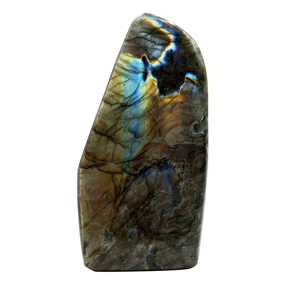 Labradorite Freeform Crystal 5.25" Madagascar - Gem Avenue Retail