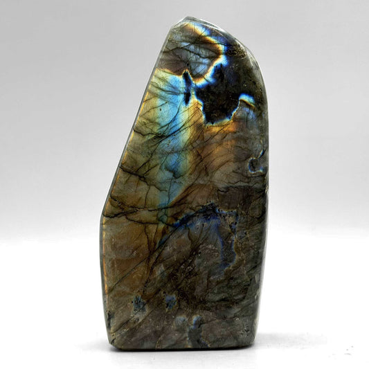 Labradorite Freeform Crystal 5.25" Madagascar - Gem Avenue Retail