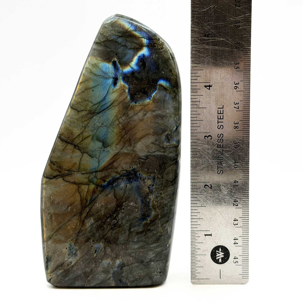 Labradorite Freeform Crystal 5.25" Madagascar - Gem Avenue Retail