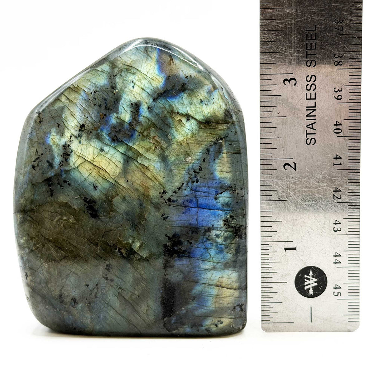 Labradorite Freeform Crystal 3.5" Madagascar - Gem Avenue Retail