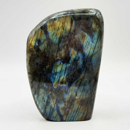 Labradorite Crystal Freeform  - Gem Avenue Retail