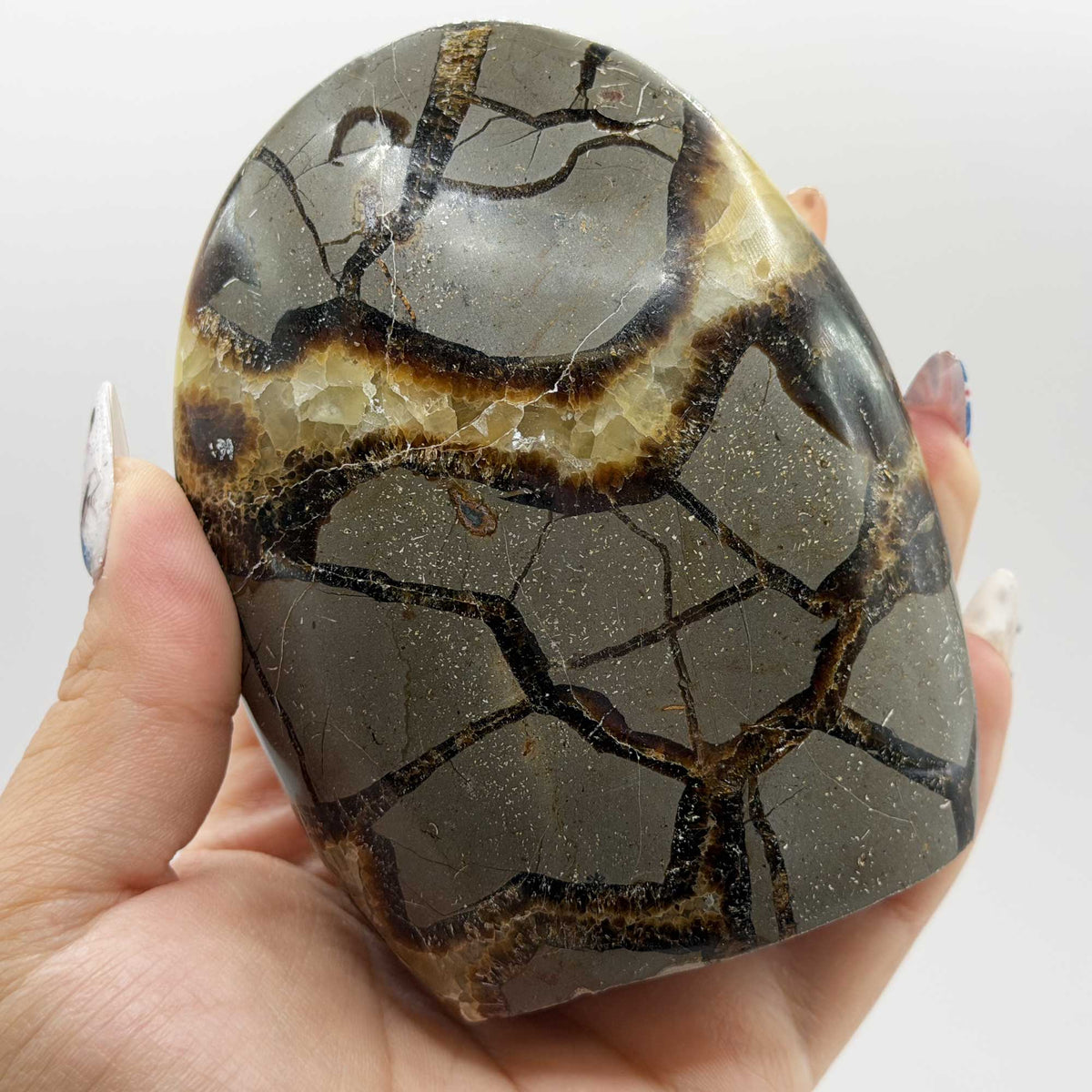 Natural Septarian Polished Freeform Crystal 3.75"- Gem Avenue Retail