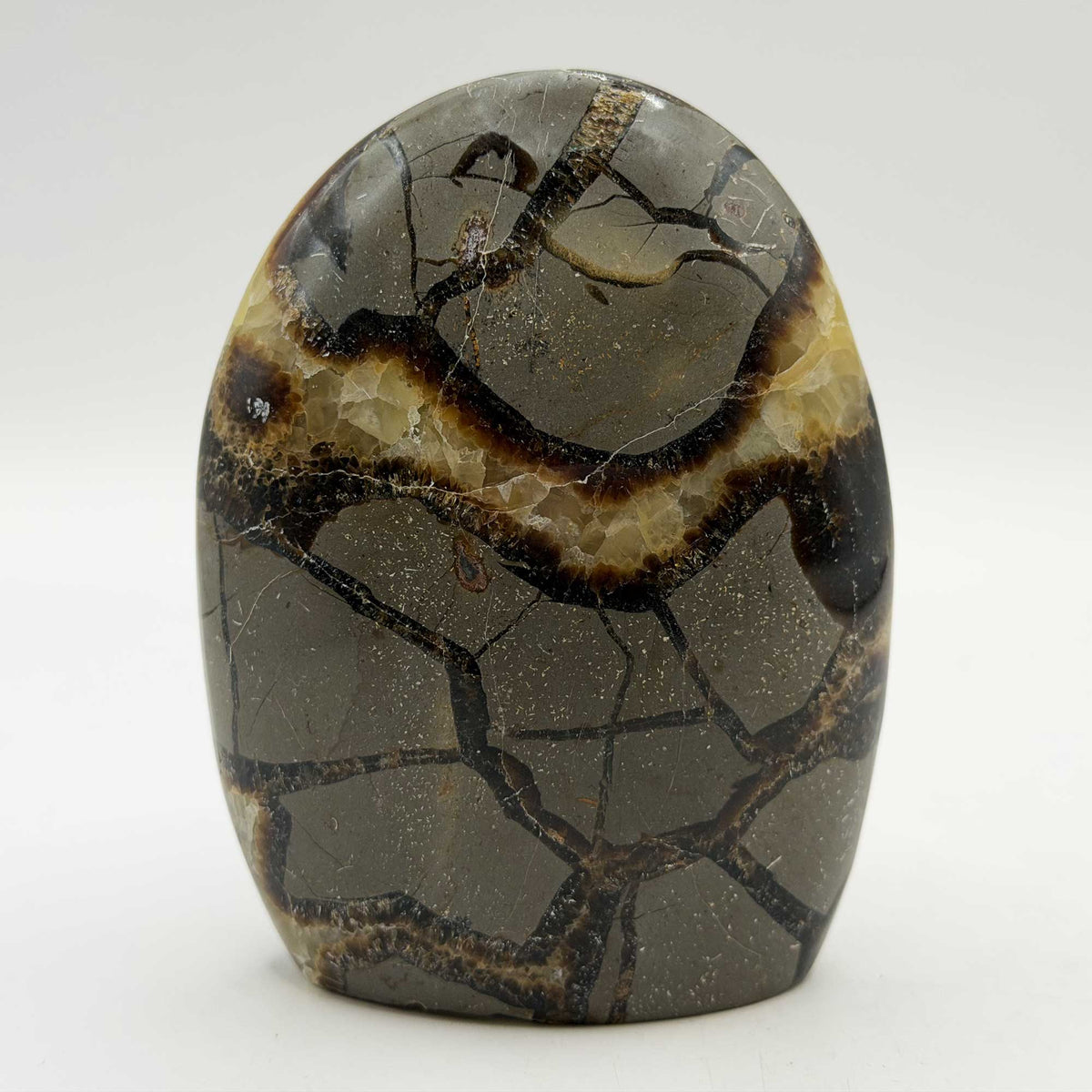 Natural Septarian Polished Freeform Crystal 3.75"- Gem Avenue Retail