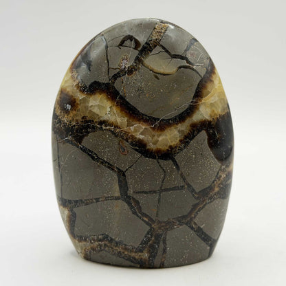 Natural Septarian Polished Freeform Crystal 3.75"- Gem Avenue Retail