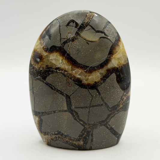 Natural Septarian Polished Freeform Crystal 3.75"- Gem Avenue Retail