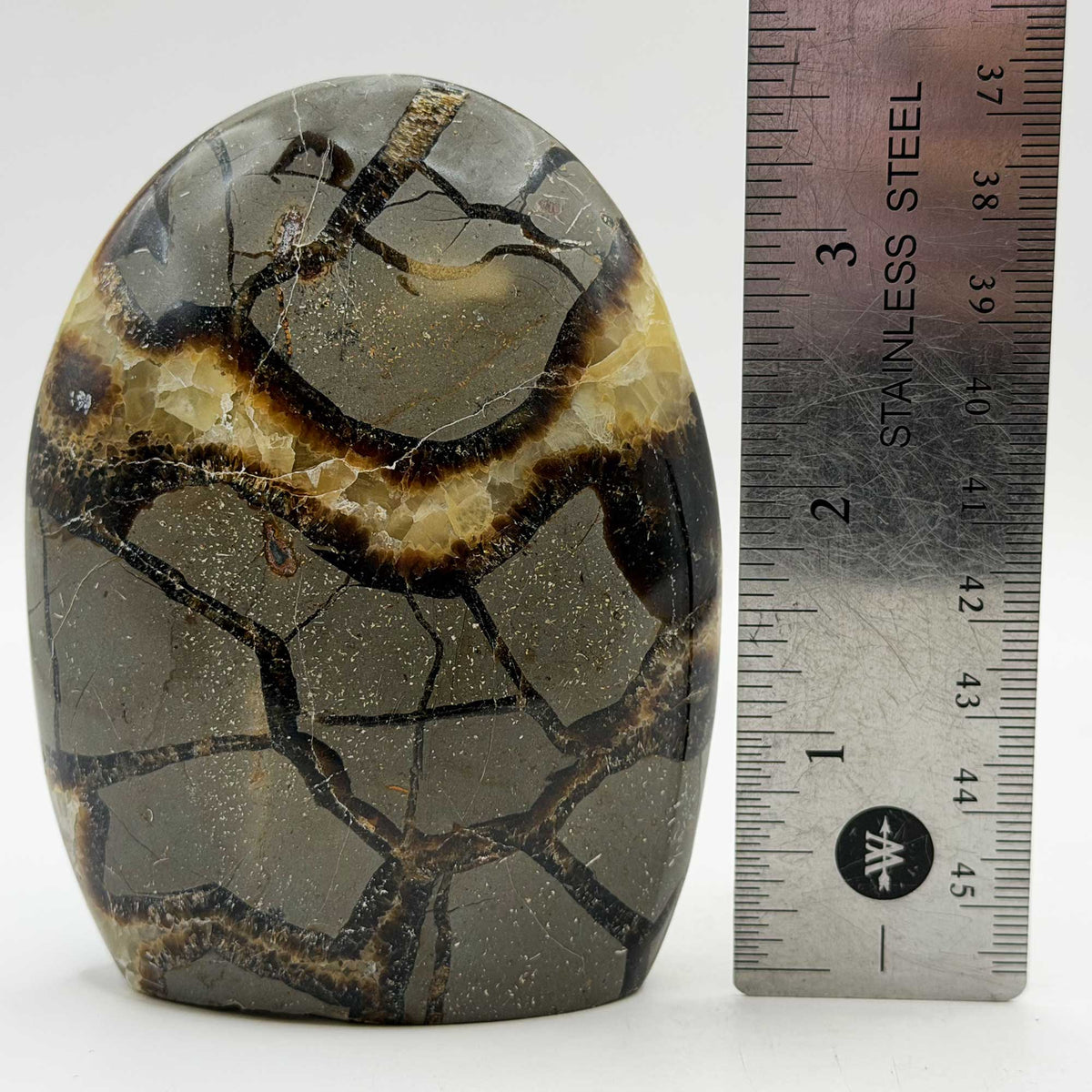 Natural Septarian Polished Freeform Crystal 3.75"- Gem Avenue Retail
