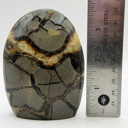 Natural Septarian Polished Freeform Crystal 3.75"- Gem Avenue Retail