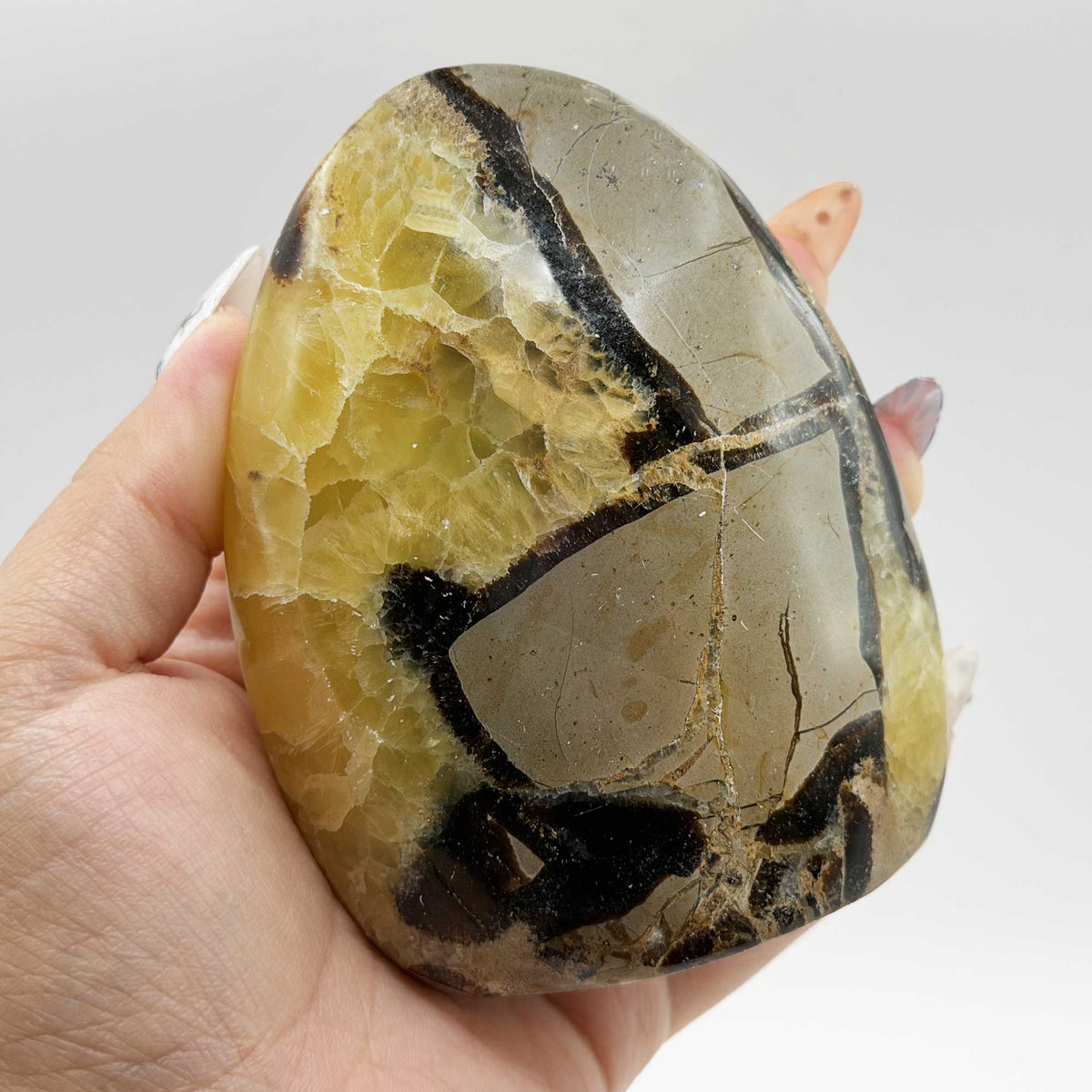 Septarian Crystal Freeform - Gem Avenue Retail