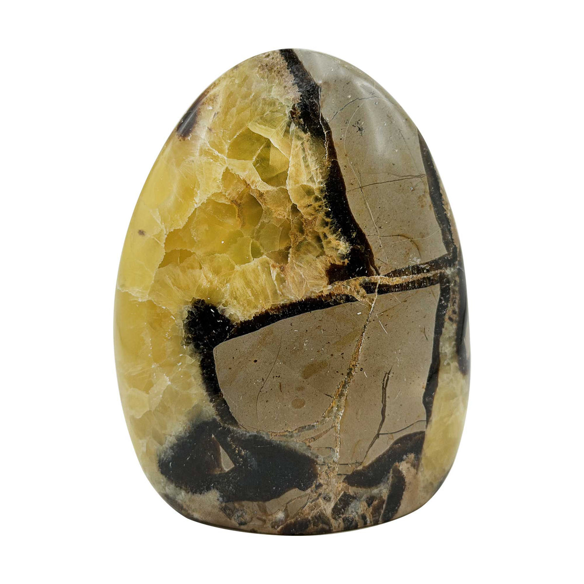 Septarian Crystal Freeform - Gem Avenue Retail